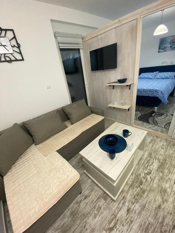 TV a/nebo společenská místnost v ubytování Apartman Vasilije