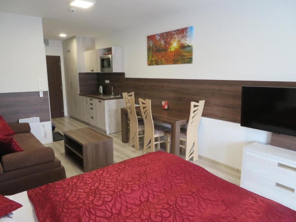 Kuchyň nebo kuchyňský kout v ubytování Apartmán Bohemia