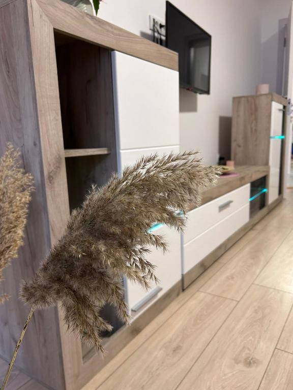 Fotografie z fotogalerie ubytování Vlasic Apartmani HANA v destinaci Vršac