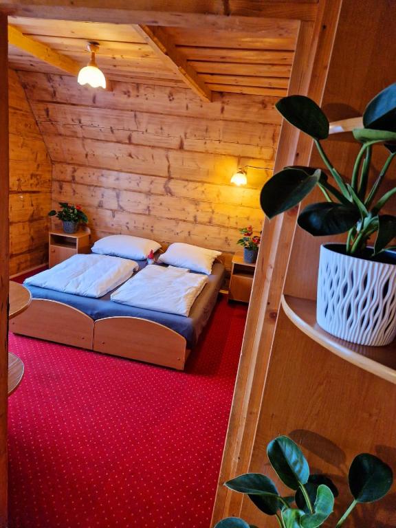 Bukovina Concept przy stoku narciarskim - 15