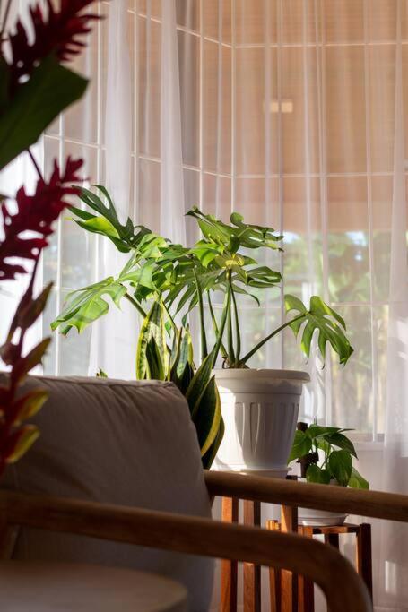 Fotografie z fotogalerie ubytování Casa Roble Fortuna v destinaci Fortuna