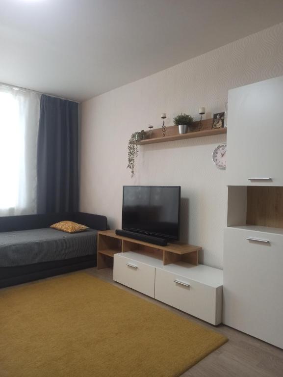 a living room with a couch and a television at Lake apartment in Visaginas