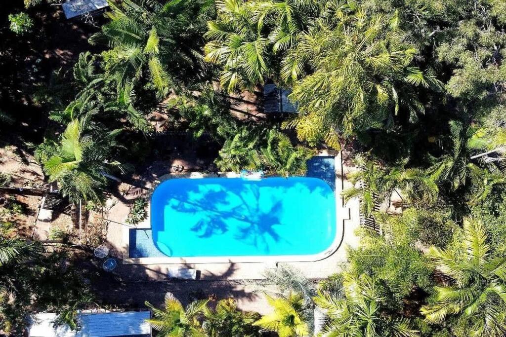 O vedere a piscinei de la sau din apropiere de Project Tranquility, Magnetic Island