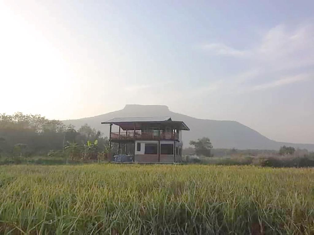 ein Haus inmitten eines Grasfeldes in der Unterkunft Banrai Tator Phophiang in Ban Nong Khan