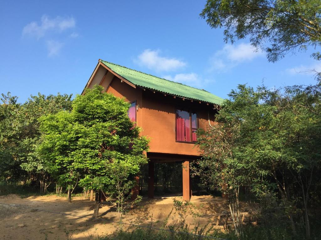dom z zielonym dachem i drzewami w obiekcie Sky Forest w mieście Habarana