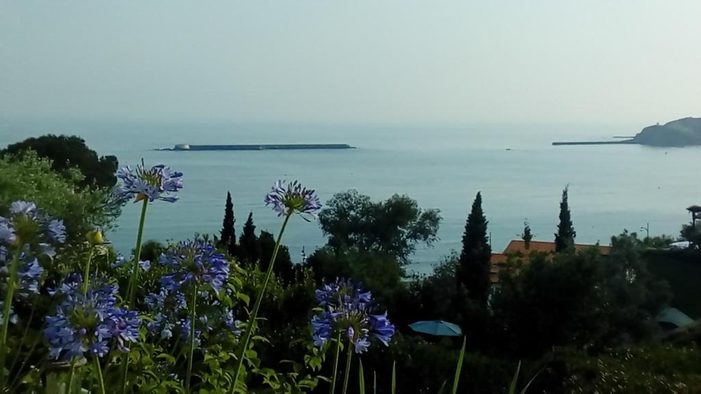 vistas al océano desde un jardín con flores en Entre Terre & Mer, en Ciboure