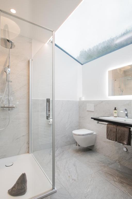Un baño con ducha, inodoro y lavabo. en BaseCamp Hotel, en Zermatt