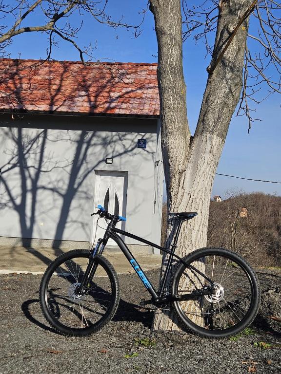 Jízda na kole v ubytování Kuća za odmor Kustura nebo okolí