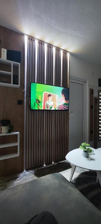 TV a/nebo společenská místnost v ubytování Marinkovic 2 stan na dan