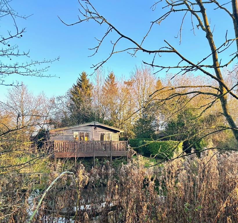 a wooden cabin in the middle of a forest at 'Mallard' Secluded Rustic Lodge - Digital Detox Paradise in Allerthorpe