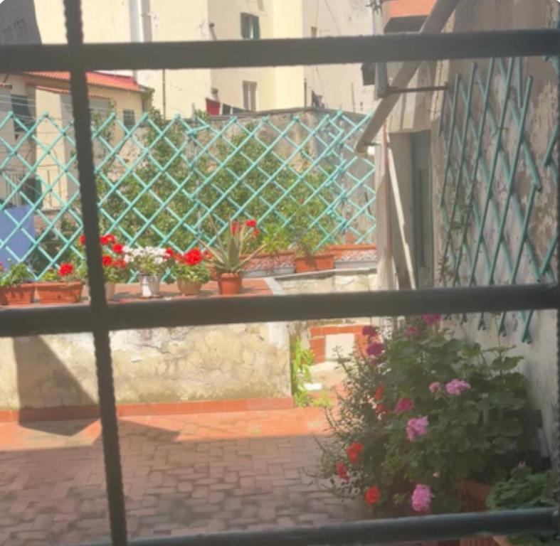 a view from a window of a garden with flowers at B&B centro di livorno in Livorno