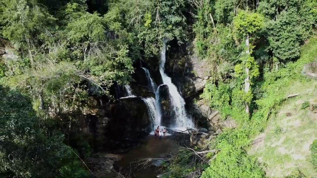 una cascada en medio de un bosque en Coffee Tranquil Homestay - Private Water Falls & Premium Experience, en Chikmagalur