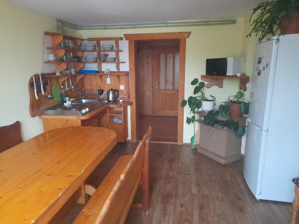 Kuchyň nebo kuchyňský kout v ubytování Na gorbochku u Natali