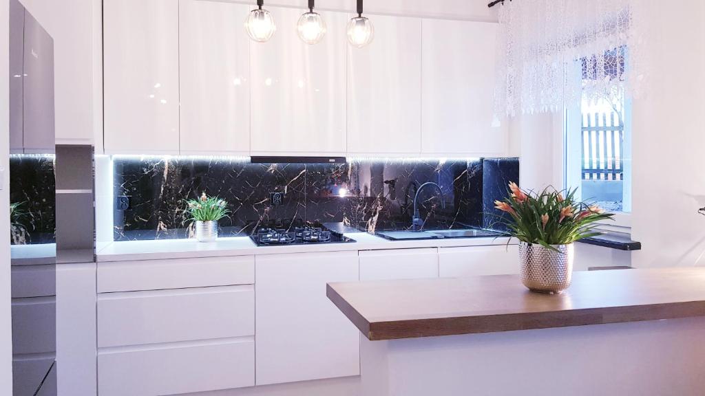 a kitchen with white cabinets and a counter with plants at Apartament u Anielki in Uniejow