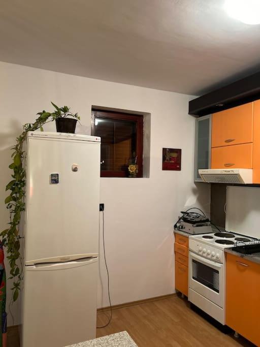 Kuchyň nebo kuchyňský kout v ubytování Jordan Apartman