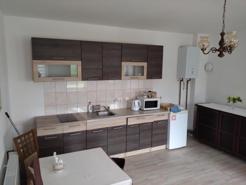 Kuchyň nebo kuchyňský kout v ubytování Apartmány u Martina