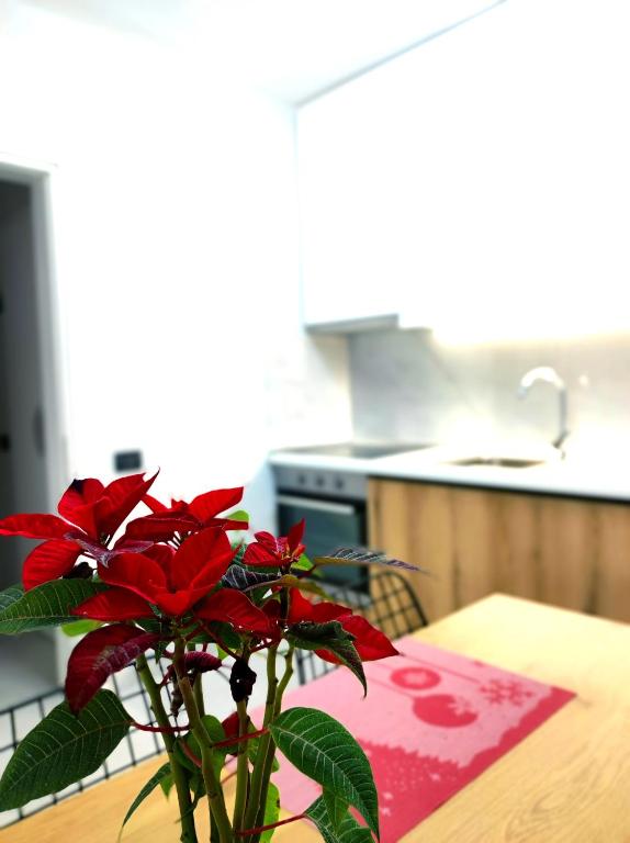 Central & Comfy 2 BR Apartment - Imazhi 4