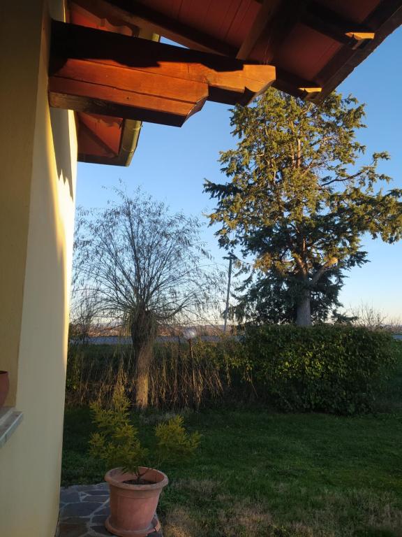 Aussicht von der Veranda eines Hauses mit einem Baum in der Unterkunft Azienda Agricola Baldini Ferdinando in Montaperti