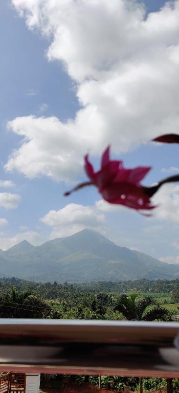 um pássaro vermelho está voando no céu em Breezeland holidays em Padinjarathara