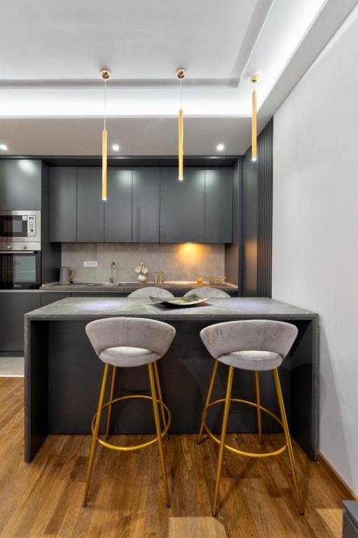 Kuchyň nebo kuchyňský kout v ubytování Mans lux 8 Apartman