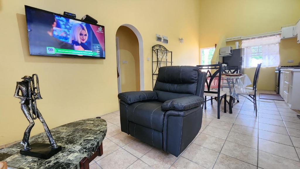 TV o dispositivi per l'intrattenimento presso Caribbean Dream Vacation Property CD1