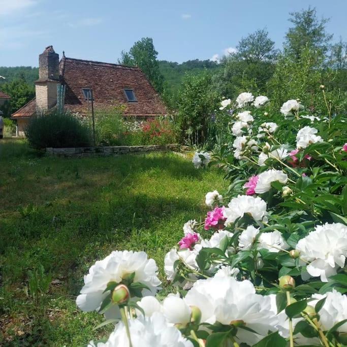 un jardin de fleurs blanches devant une maison dans l'établissement La Francotine, à Lherm