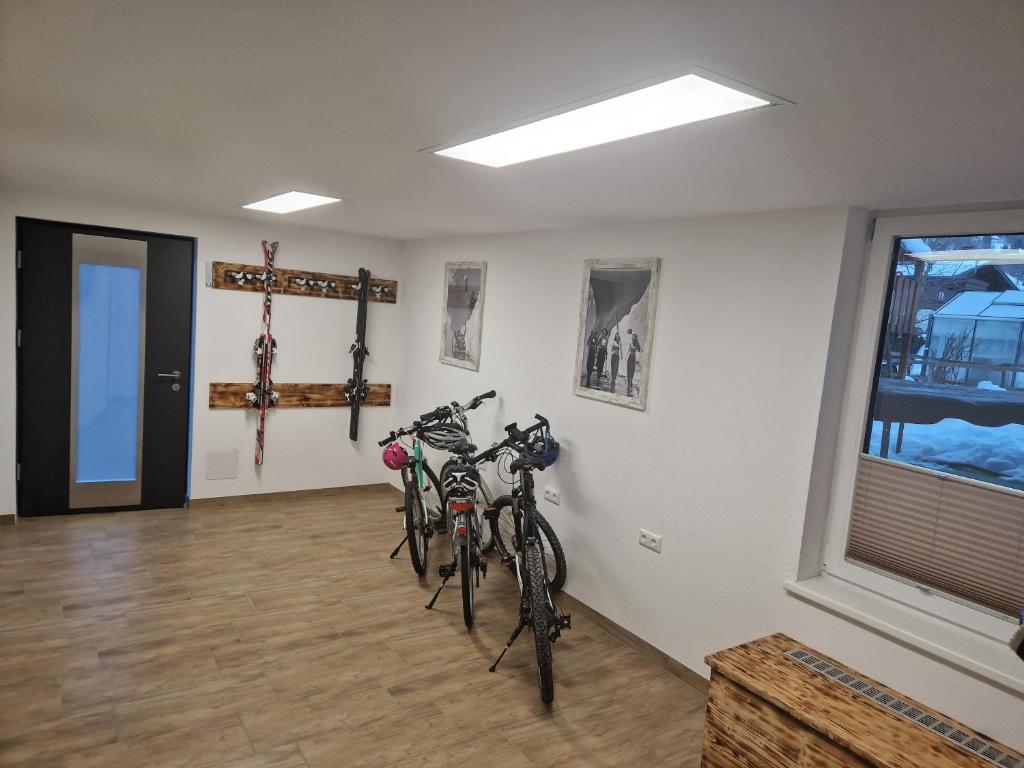 Jízda na kole v ubytování Appartement Gimpl nebo okolí