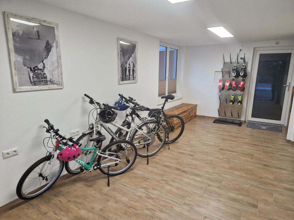 Jízda na kole v ubytování Appartement Gimpl nebo okolí