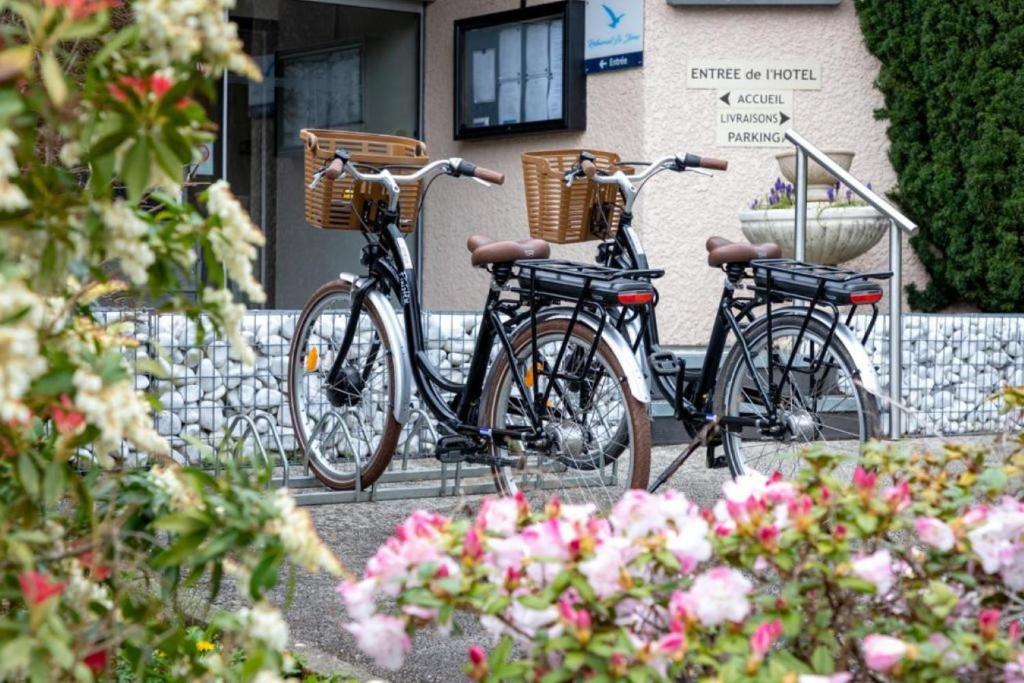 Jízda na kole v ubytování Best Western Auray le Loch nebo okolí