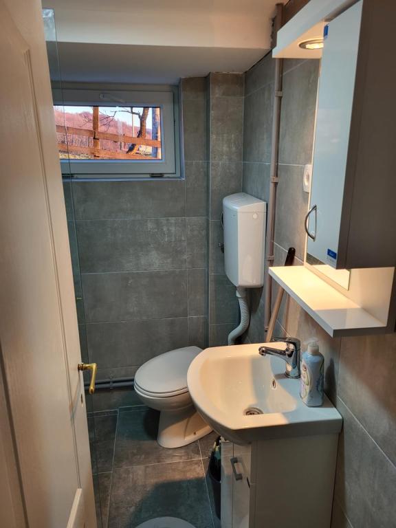 Fotografie z fotogalerie ubytování Apartman Mica i Živo v destinaci Rudnik