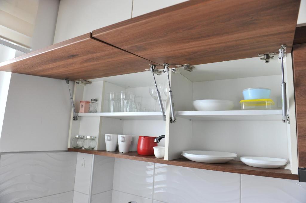 Ramondia, Kopaonik - Resim 24