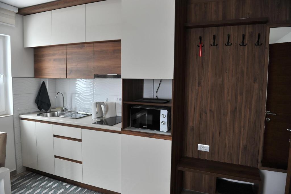 Ramondia, Kopaonik - Resim 31