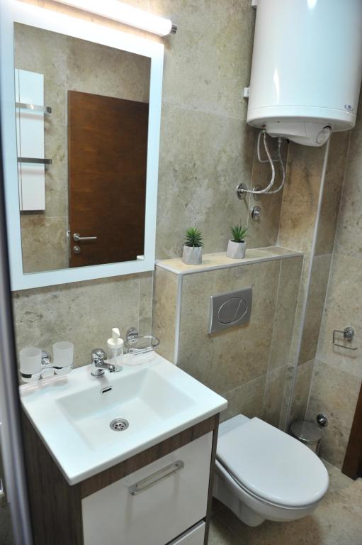 Ramondia, Kopaonik - Resim 25