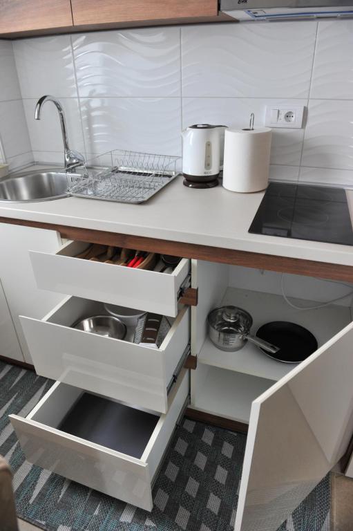 Ramondia, Kopaonik - Resim 38