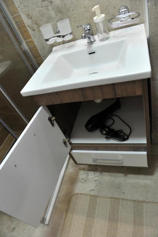 Ramondia, Kopaonik - Resim 39