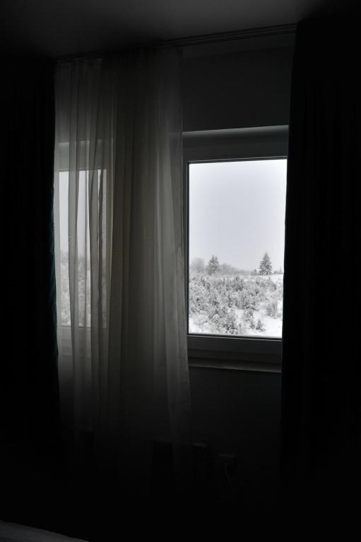 Ramondia, Kopaonik - Resim 40