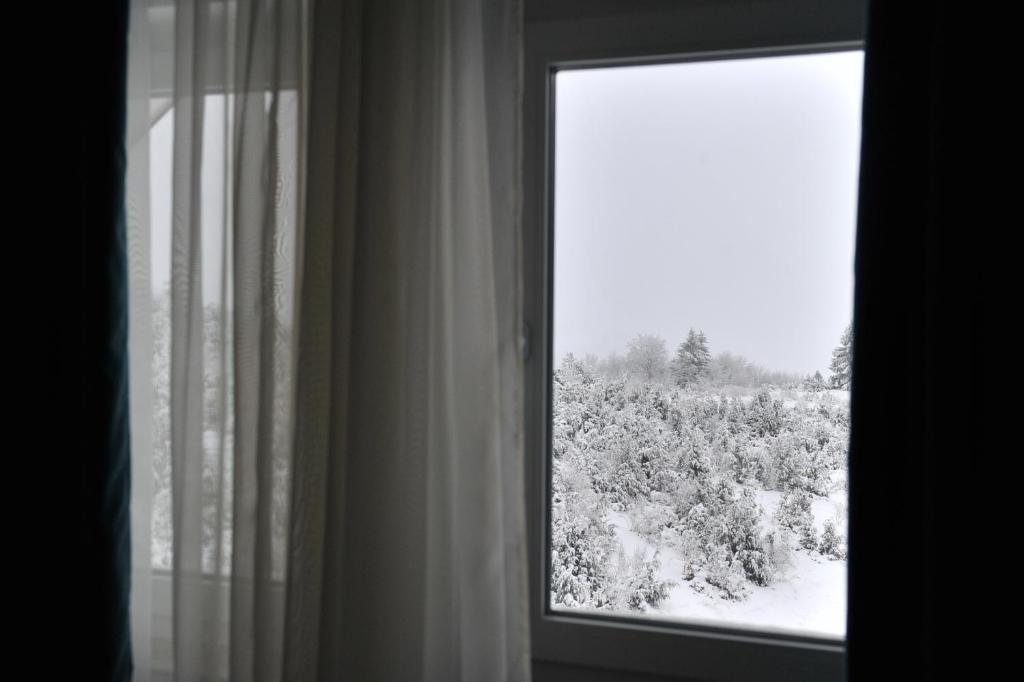 Ramondia, Kopaonik - Resim 44