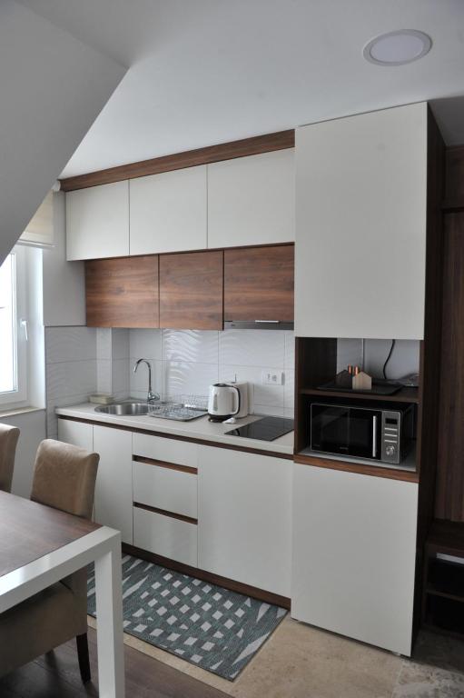 Ramondia, Kopaonik - Resim 3