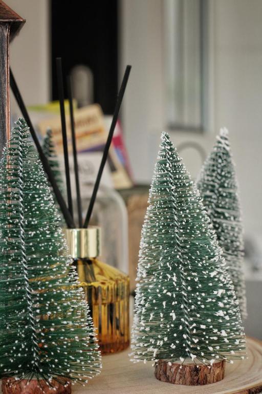 a group of three christmas trees on a table at Gîte spa la parenthèse in Sauve