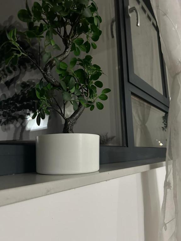 MM Apartments Zore - 8