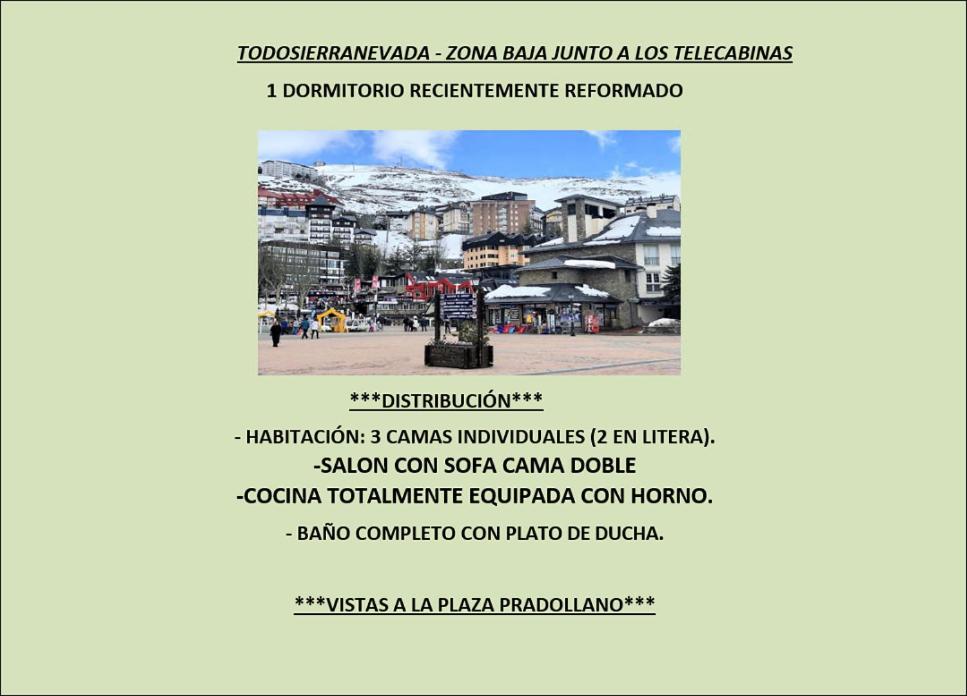 SKI PLAZA SIERRA NEVADA & Zona Baja - Apartamento Superior