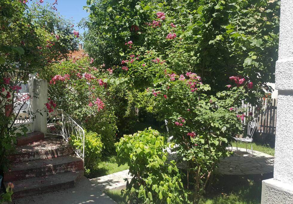 Zahrada ubytování Apartment Milinkovic