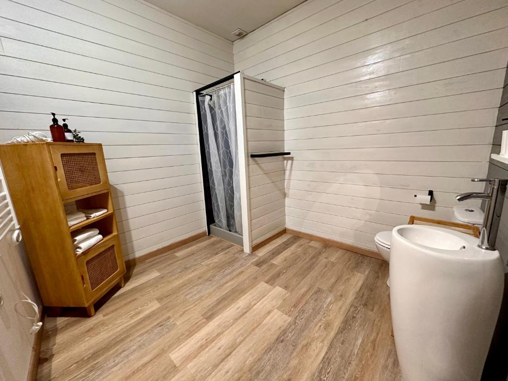 łazienka z toaletą i umywalką w obiekcie Appartement Centre ville Le blanc w mieście Le Blanc