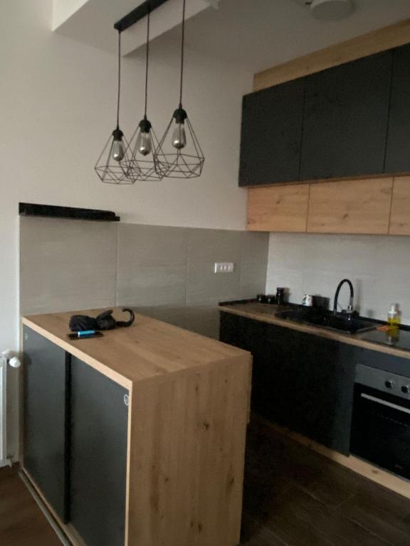 Kuchyň nebo kuchyňský kout v ubytování Lilyy lux