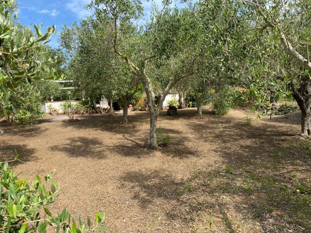 A garden outside Domo Anghèleda - Alghero casa indipendente vicino al mare