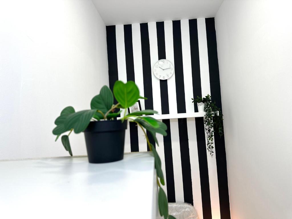 Fotografie z fotogalerie ubytování Striped Partition Room in Barsha 1 Near Mall of the Emirates v Dubaji
