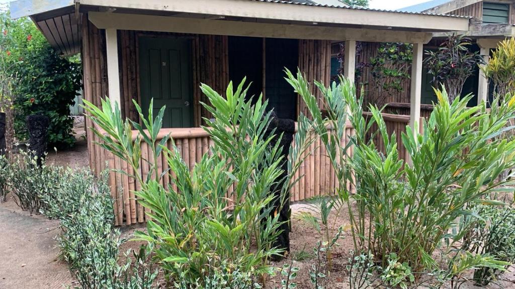 Eco Dive Vanuatu Bungalows & Backpackers - 带露台的双人间