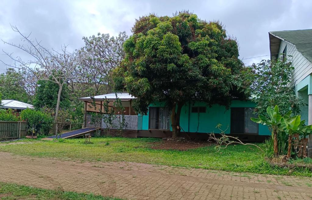 a house with a tree in front of it at Hostal Kaiheke in Hanga Roa
