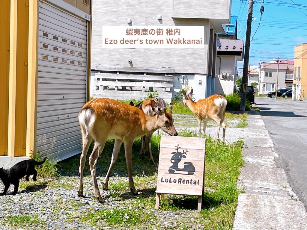 three deer standing next to a sign in front of a building at LuLu Stay in Wakkanai