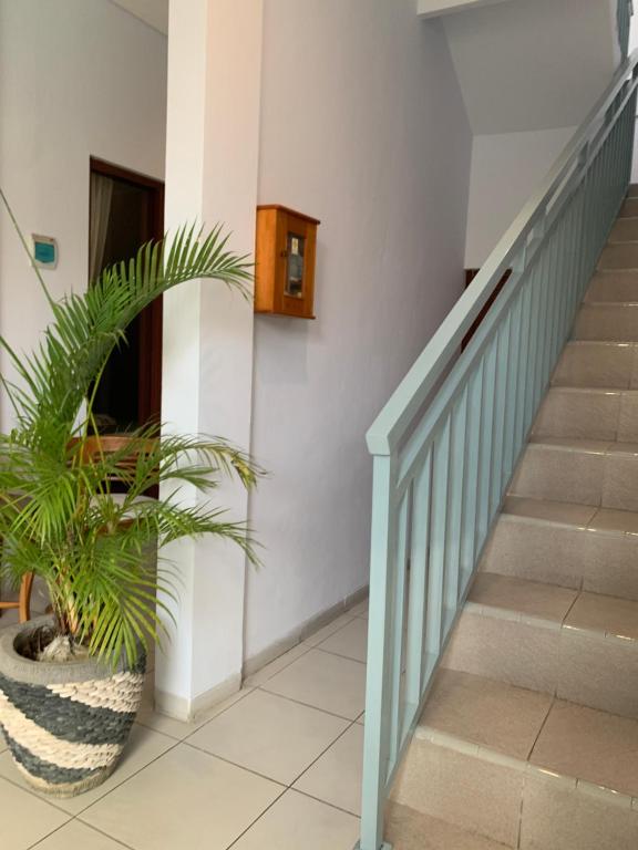 Fotografie z fotogalerie ubytování Chua Guest house Canggu v destinaci Canggu